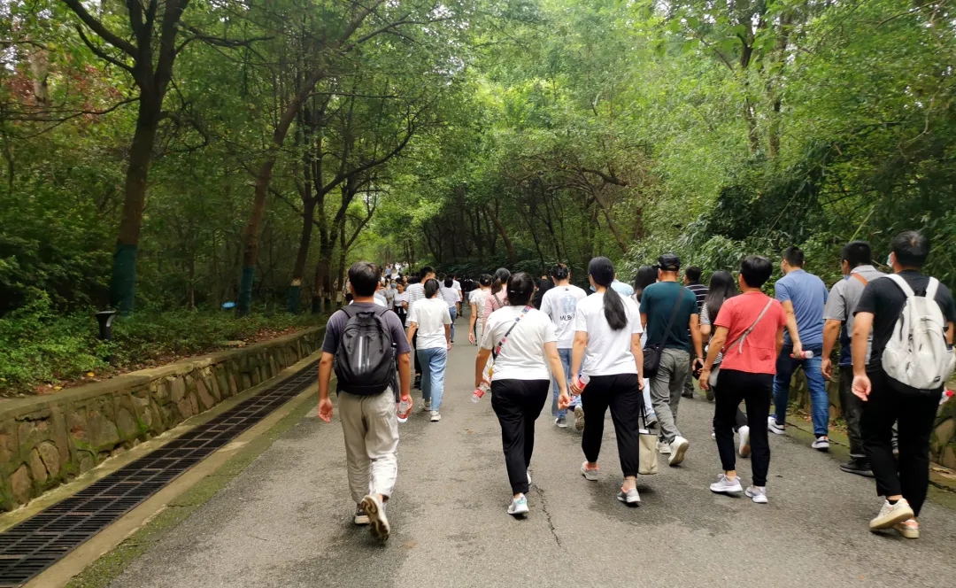 ̬湤28ƼɽԲĻ