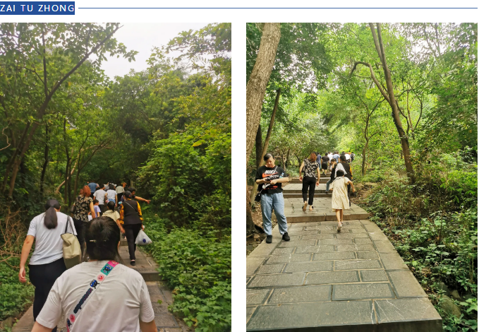 ̬湤28ƼɽԲĻ